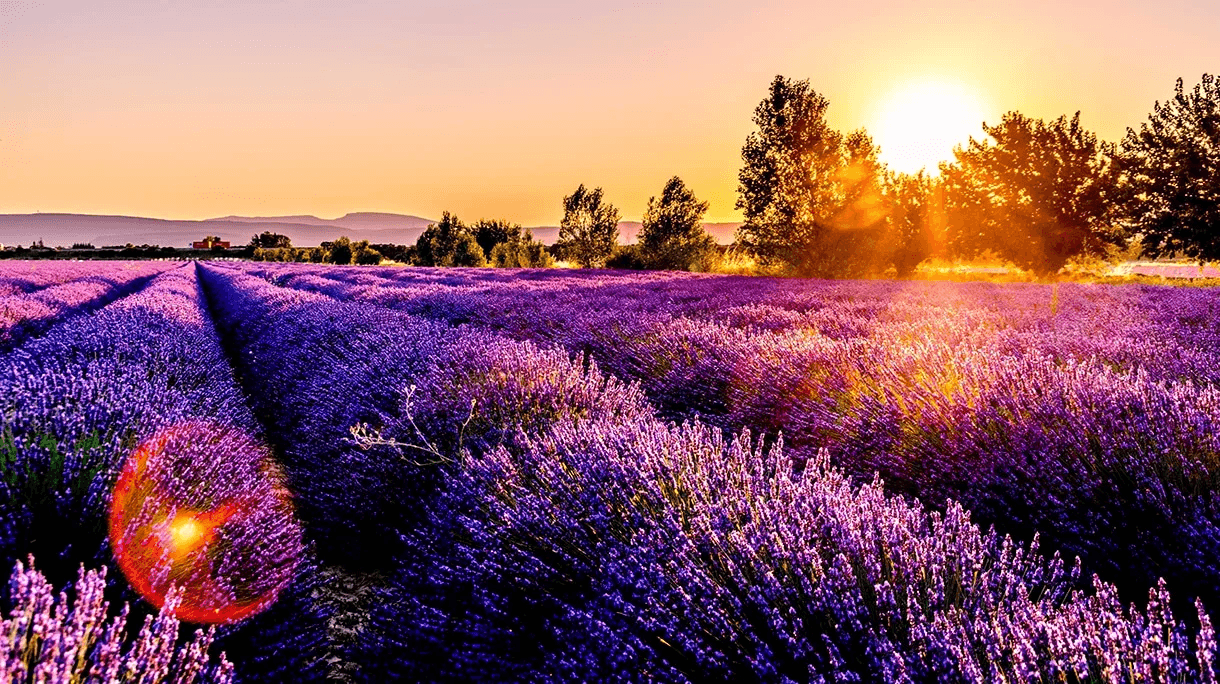 Chauffeur privé en Provence et sur la Côte d’Azur – AXL Limousine